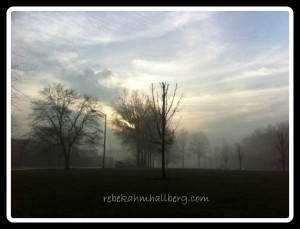 fog 1
