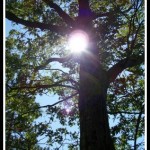 God Sightings