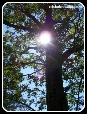 sunshine