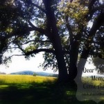 Dear Weary Mom {Come Away}