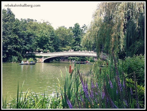Central Park, NYC, 2013