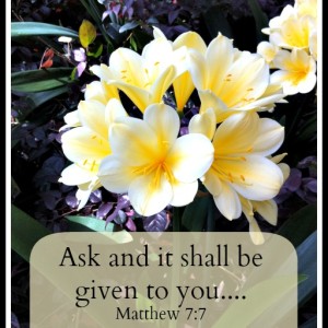 Ask and it shall be given to you