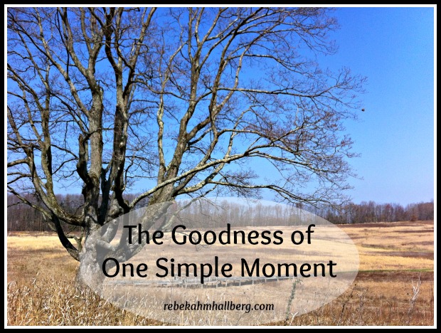 The Goodness of One Simple Moment
