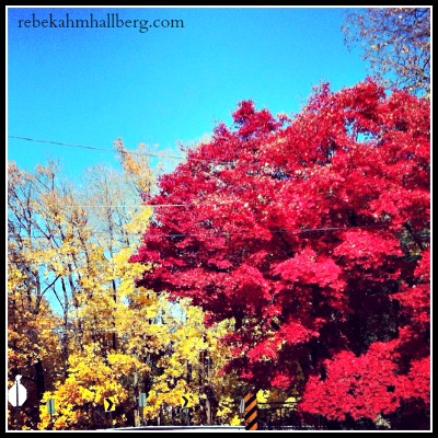 autumn