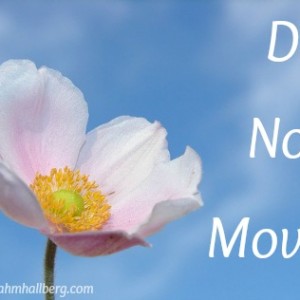 Do Not Move