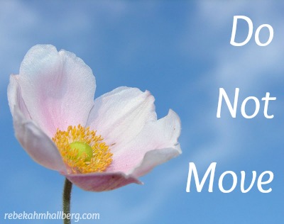 Do Not Move