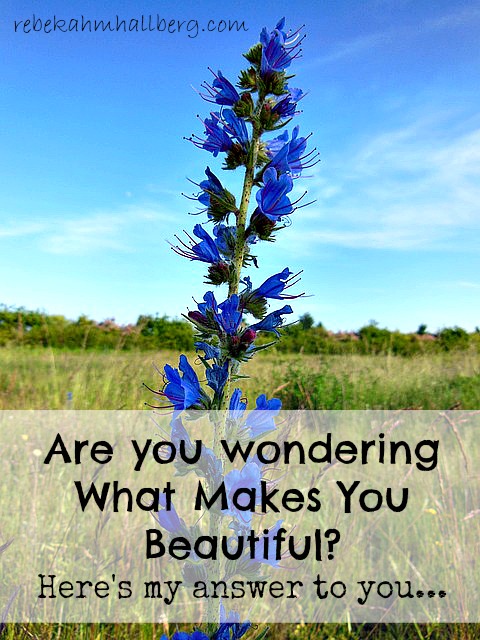 Are you wondering What Makes You Beautiful? Here's my answer to you... || rebekahmhallberg.com