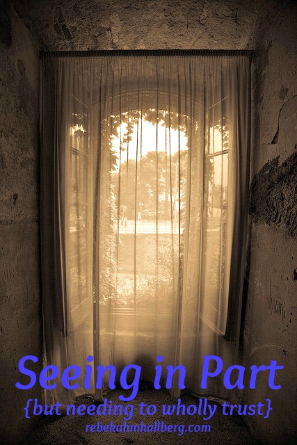 Seeing in Part (but needing to wholly trust) || rebekahmhallberg.com