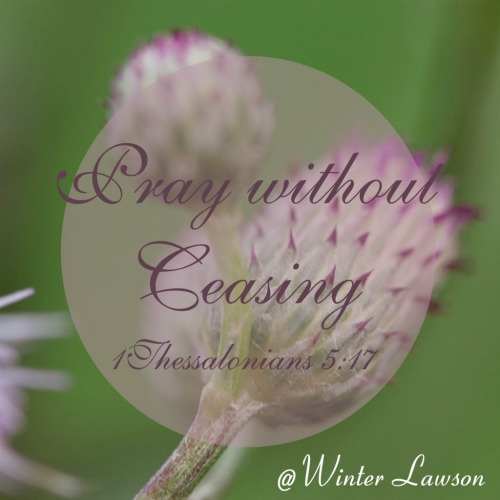 Secret Wonders {plus the Grace & Truth linkup} || RebekahMHallberg.com