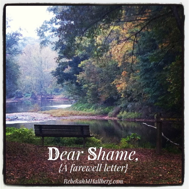 Dear Shame - a farewell letter