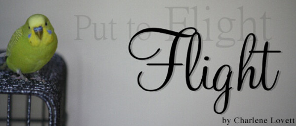 Put to Flight {plus the Grace & Truth linkup}