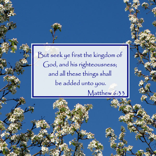 Thankfully it is God who sees and knows the whole plan for our lives. Join us for the Grace & Truth linkup