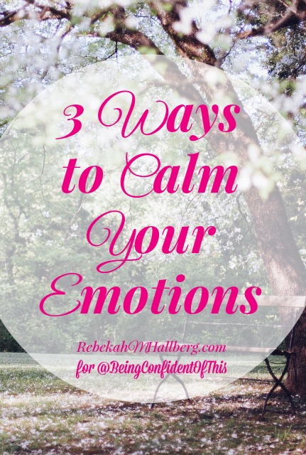 Do you find that many of the issues in your marriage are driven by fear? There is something that can make that fear even worse - wild emotions. Here are 3 ways to calm your emotions {before they ruin your marriage}.
