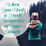 When You Need a Fresh Perspective of Your Goliath
