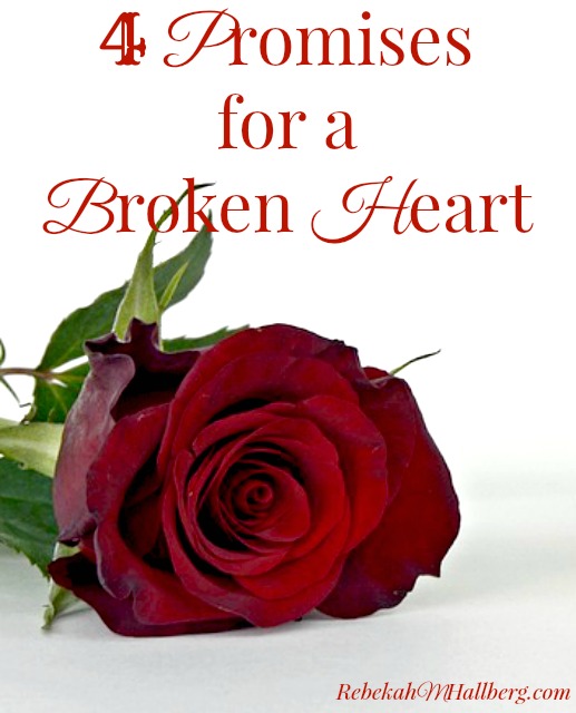 If you are struggling with a broken heart, here is encouragement from God's Word.